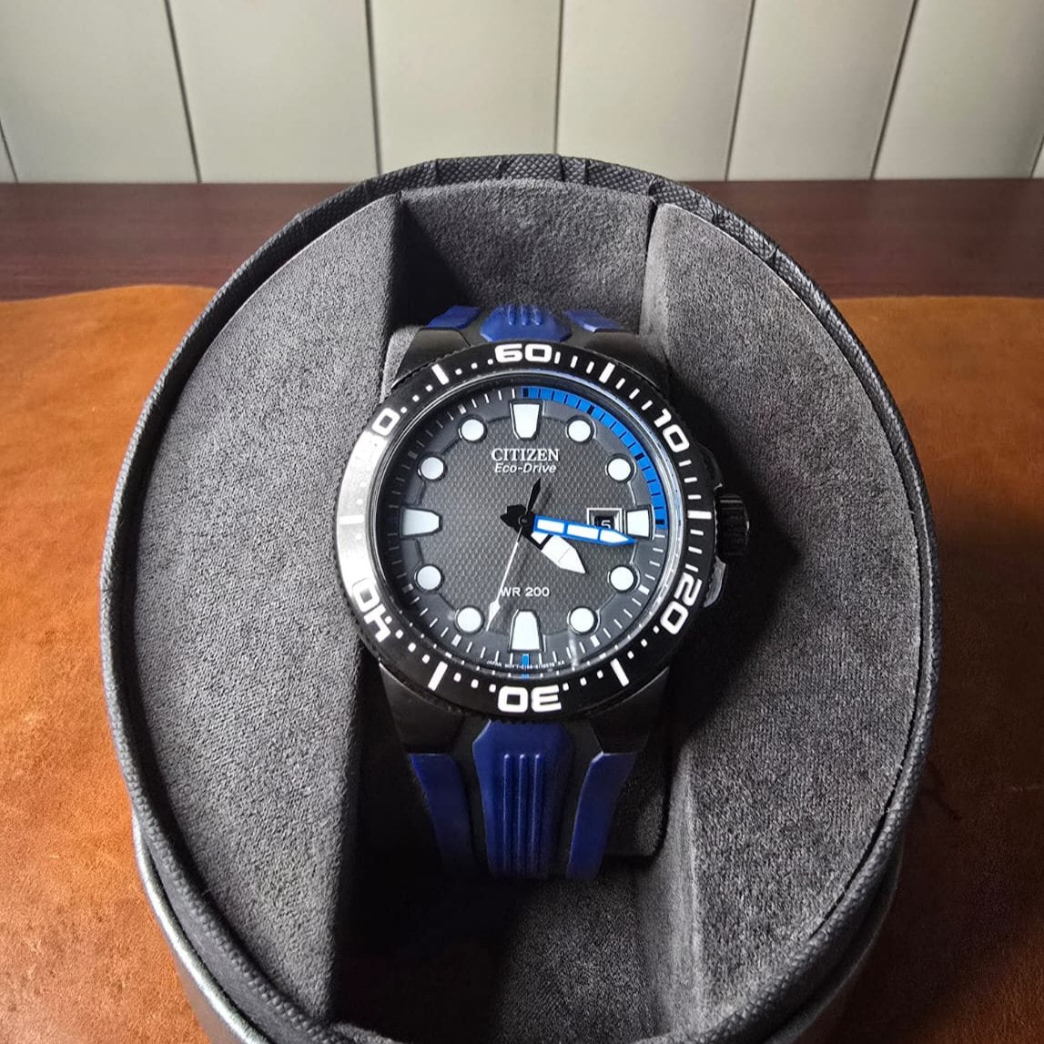 Citizen Scuba Fin